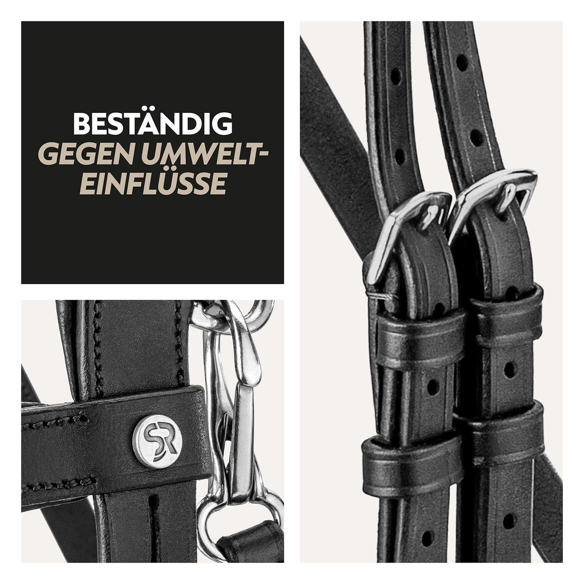 English combined bridle "Berlin" with reins