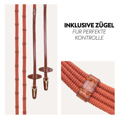 English combined bridle "Berlin" with reins