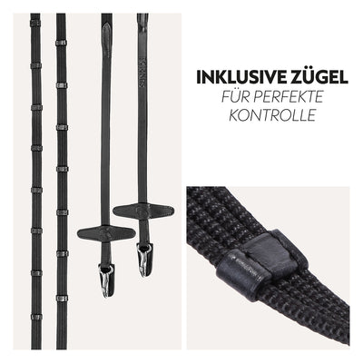 English combined bridle "Berlin" with reins