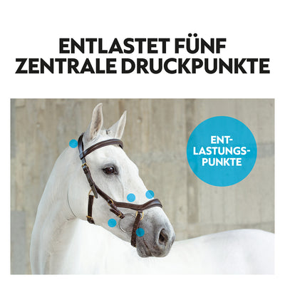 English combined bridle "York" with reins