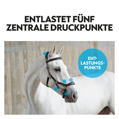English combined bridle "York" with reins