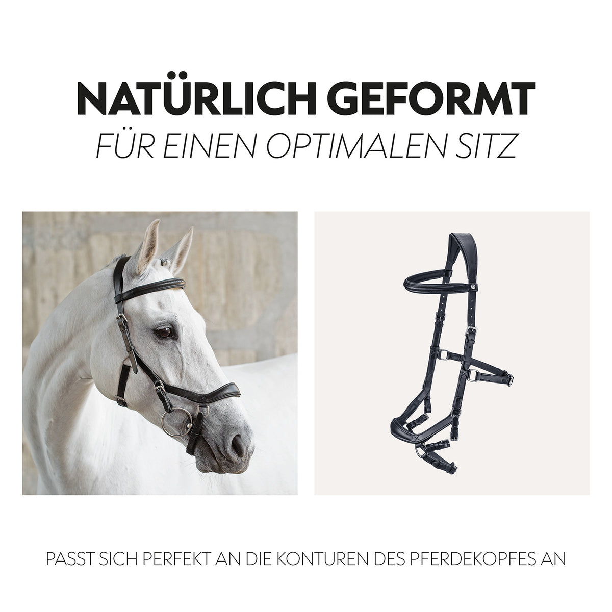 English combined bridle "York" with reins