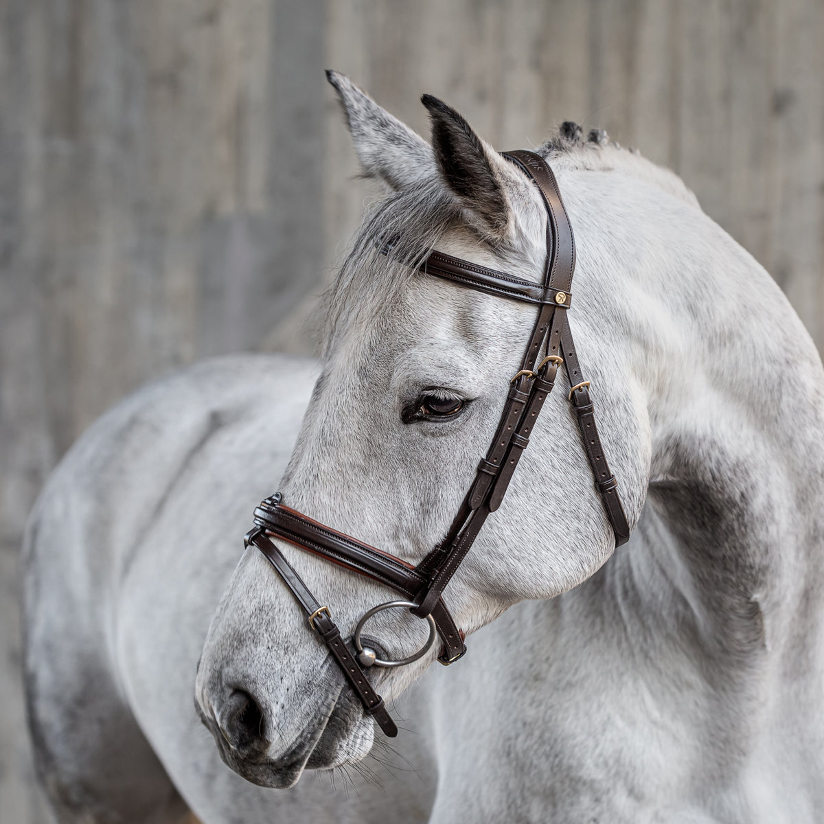 English combined bridle "Hawaii" with reins