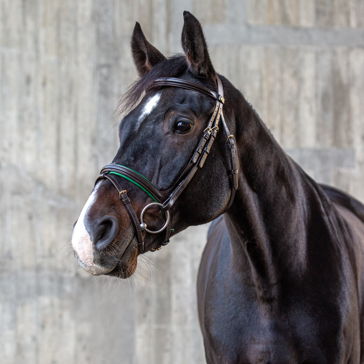 English combined bridle "Hawaii" with reins
