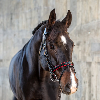 English combined bridle "Hawaii" with reins
