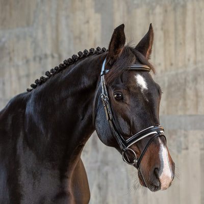 English combined bridle "Hawaii" with reins