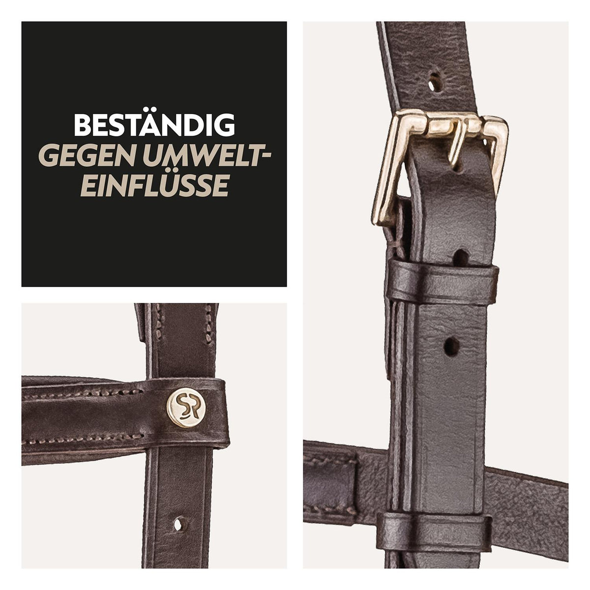 English combined bridle "York" with reins