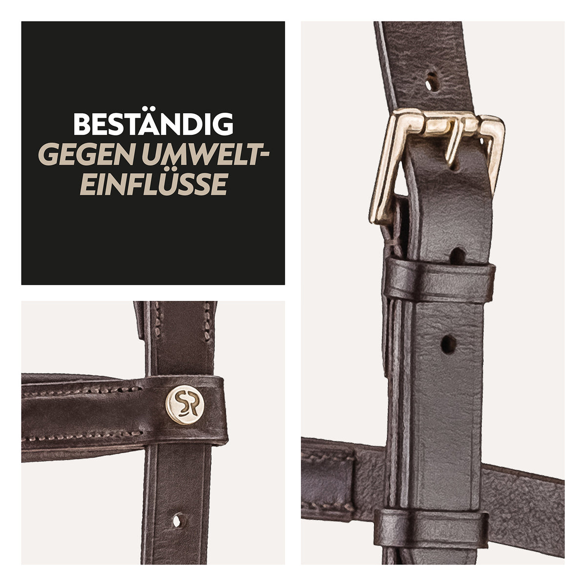 English combined bridle "York" with reins