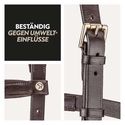 English combined bridle "York" with reins