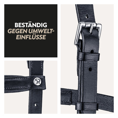 English combined bridle "York" with reins