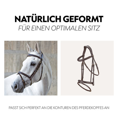 English combined bridle "London" with reins