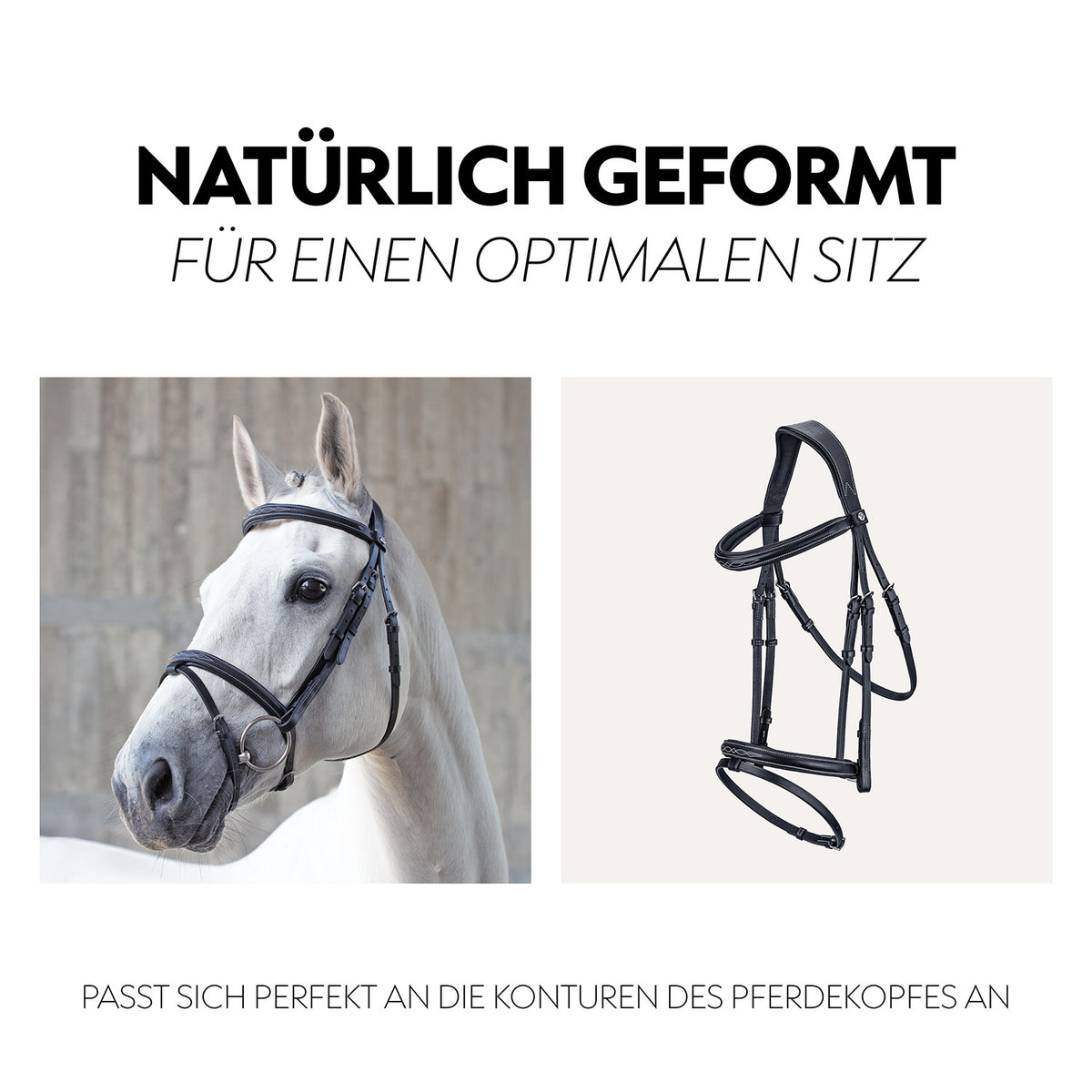 English combined bridle "London" with reins