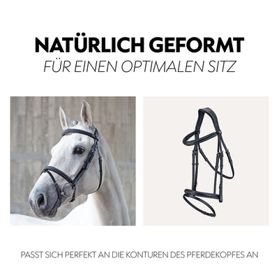 English combined bridle "London" with reins