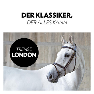 English combined bridle "London" with reins