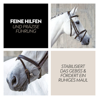 English combined bridle "London" with reins