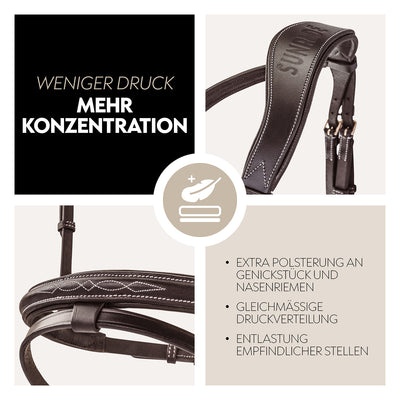 English combined bridle "London" with reins