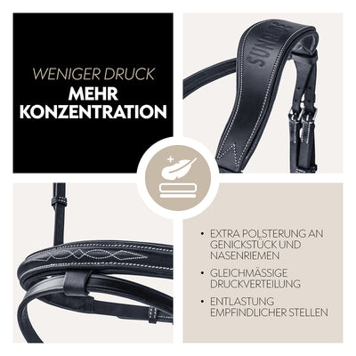 English combined bridle "London" with reins