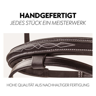 English combined bridle "London" with reins