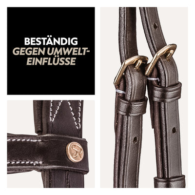 English combined bridle "London" with reins