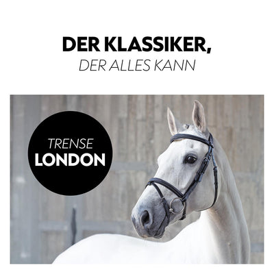 English combined bridle "London" with reins