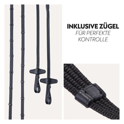 English combined bridle "York" with reins