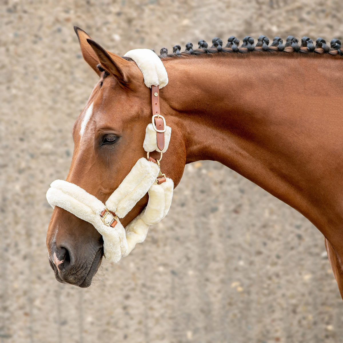 Fur halter with rope "Dover"