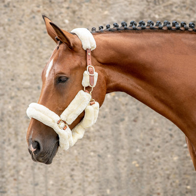 Fur halter with rope "Dover"