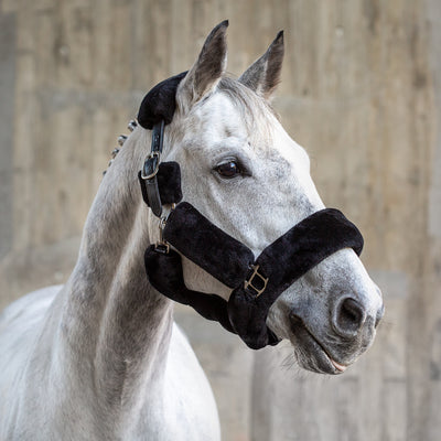 Fur halter with rope "Dover"