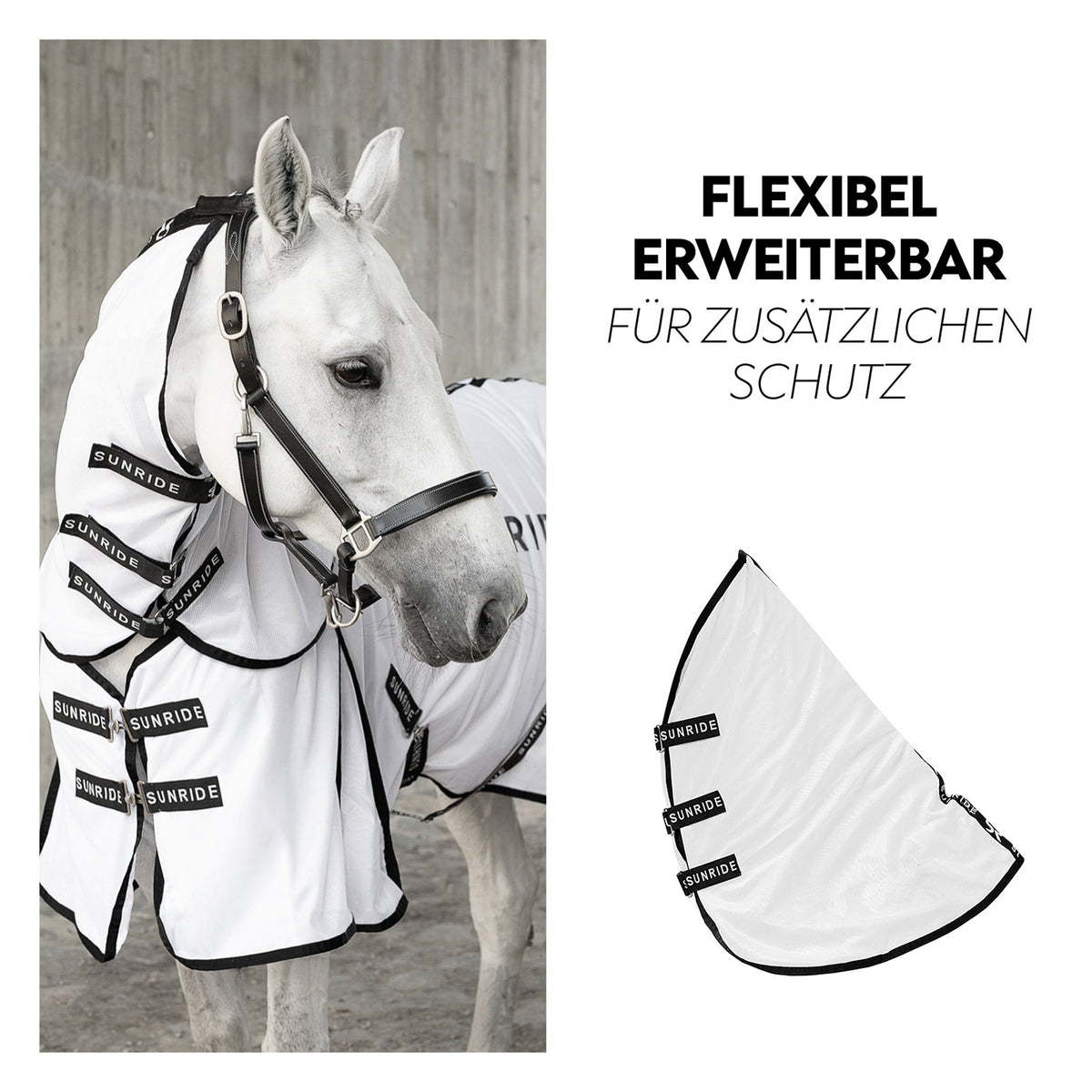 Fly Rug "Miami Classic"