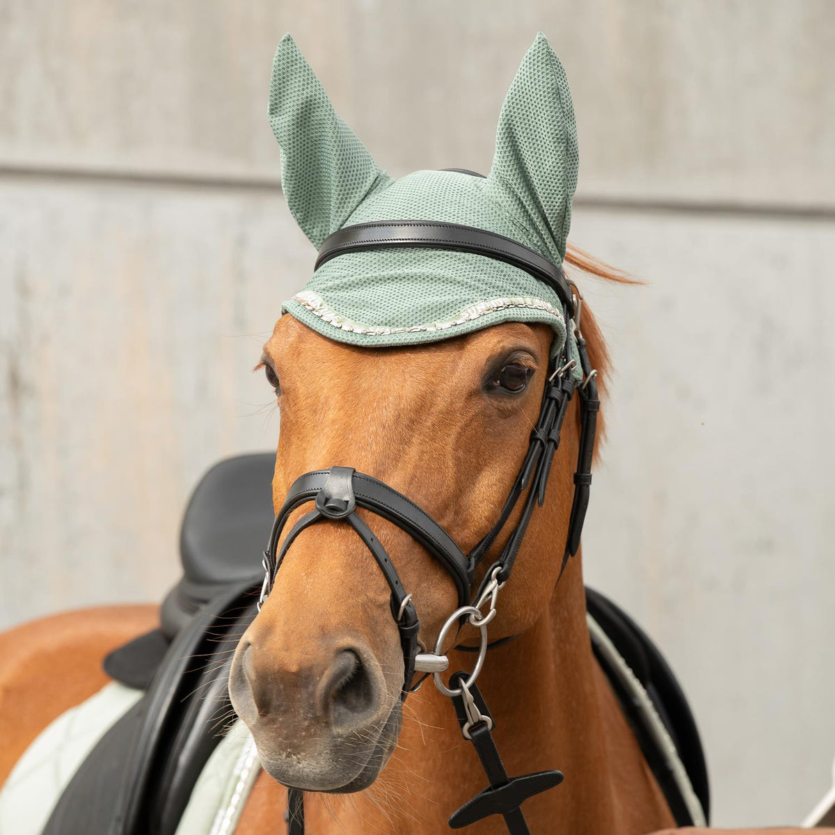 Fliegenhaube mit Strass "Wellington"
