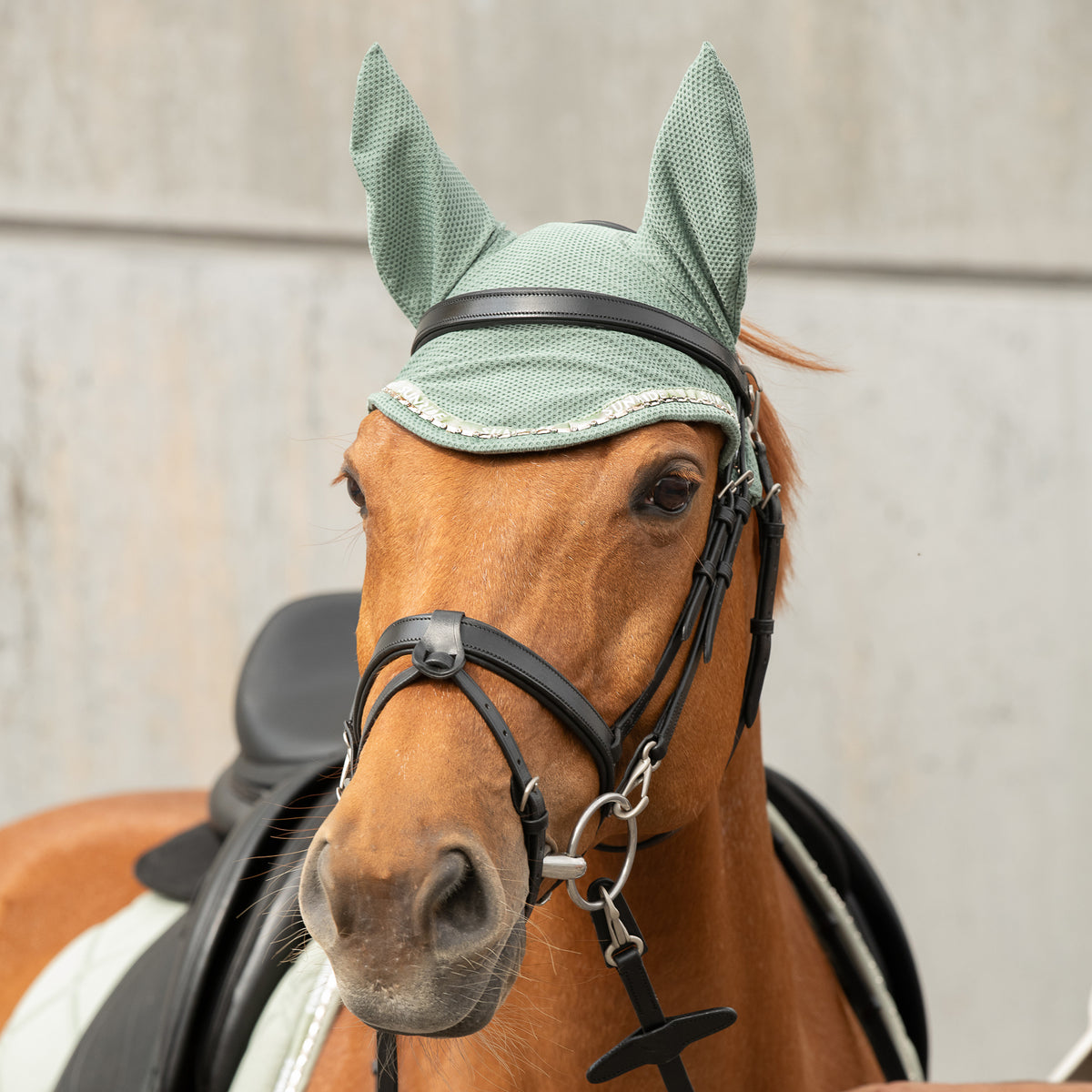 Ear Net with strass "Wellington"