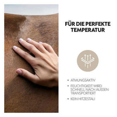 Fly Mask "Miami"