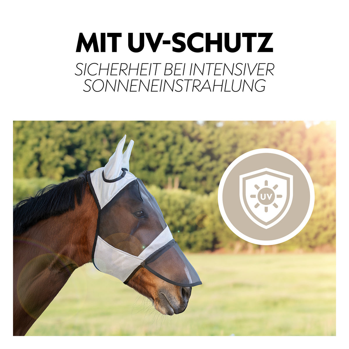 Fly mask "Ibiza"