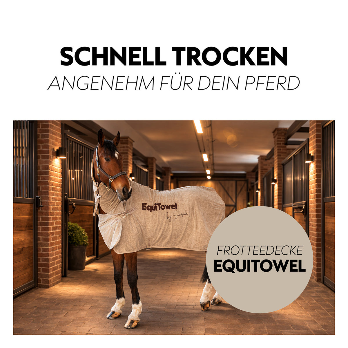 Absorbent terry cloth blanket “EquiTowel”