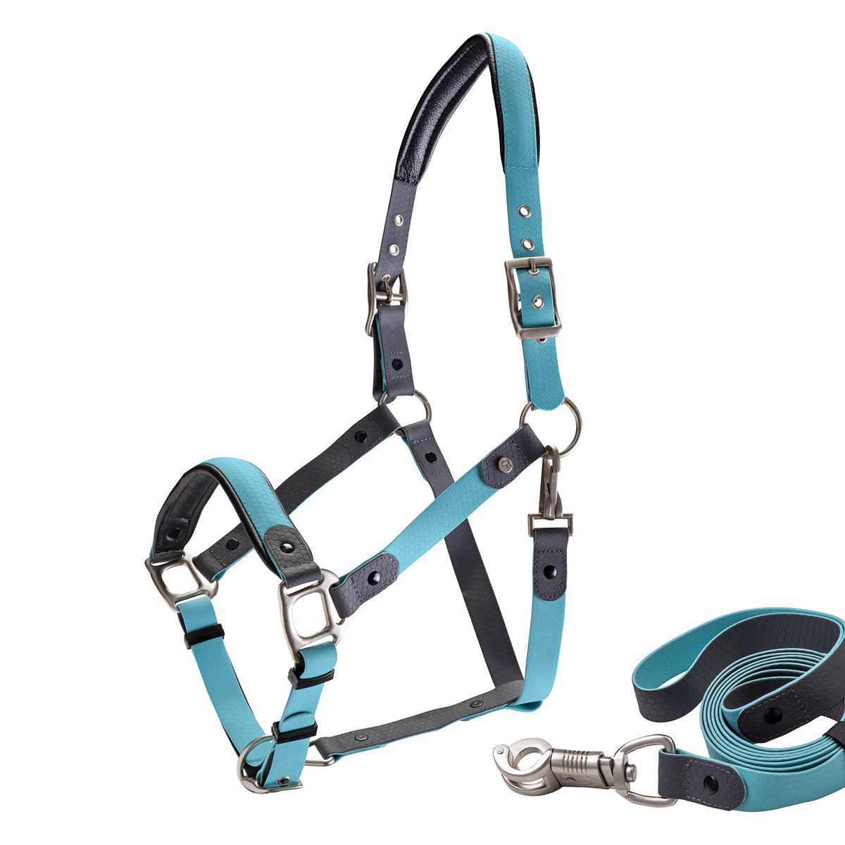 Biothane halter with lead rope