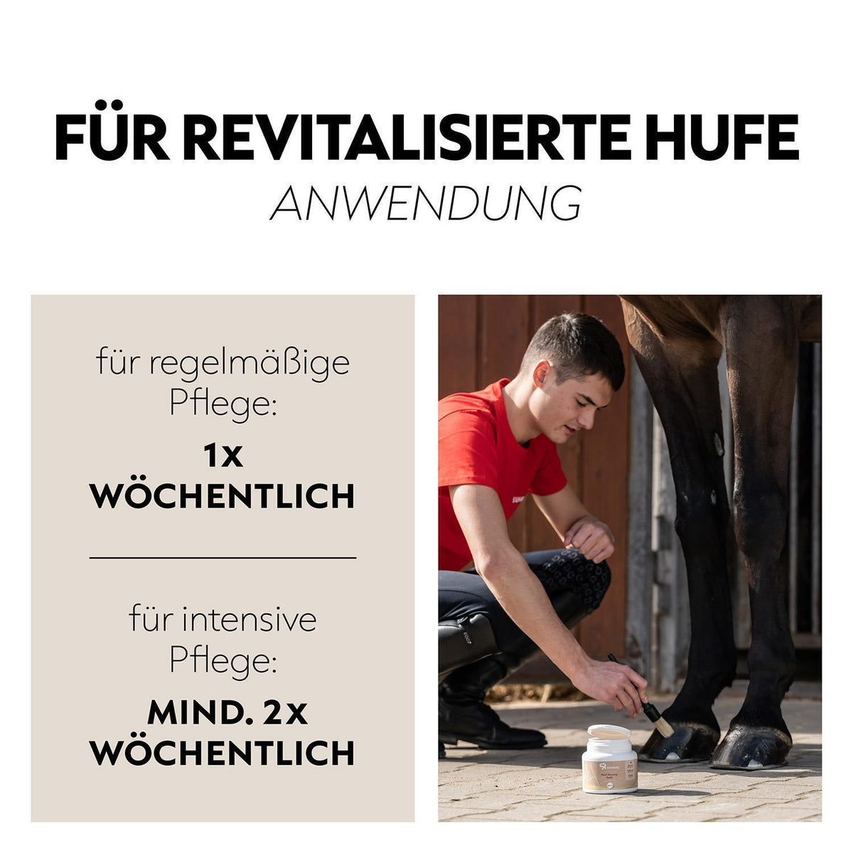 Hoof oil and Shampoo set (20ml)