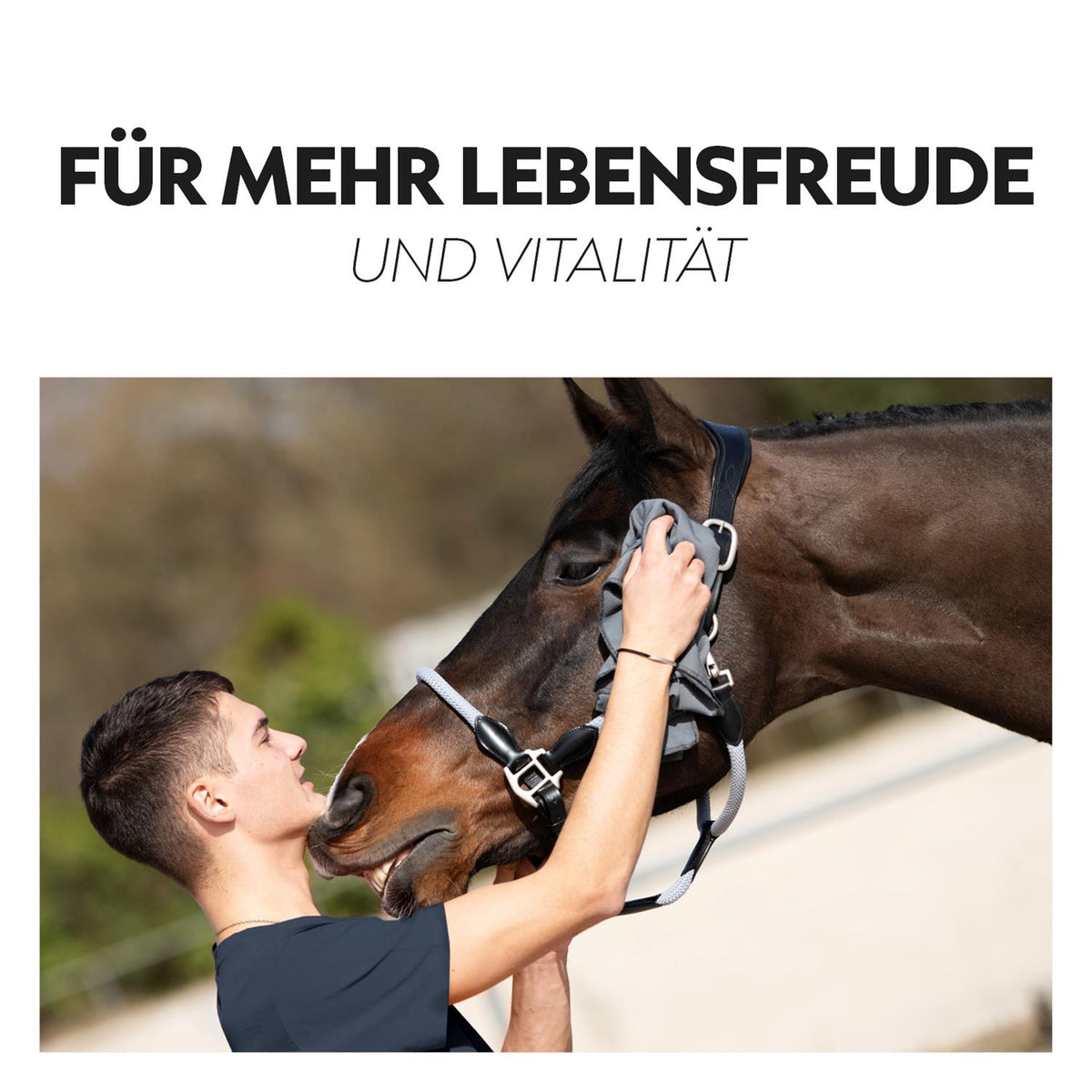 3in1 Kühldecke für Pferde “Cool Down”