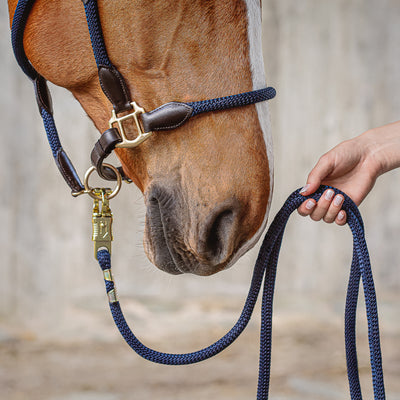 Leather Halter with rope "Denver"
