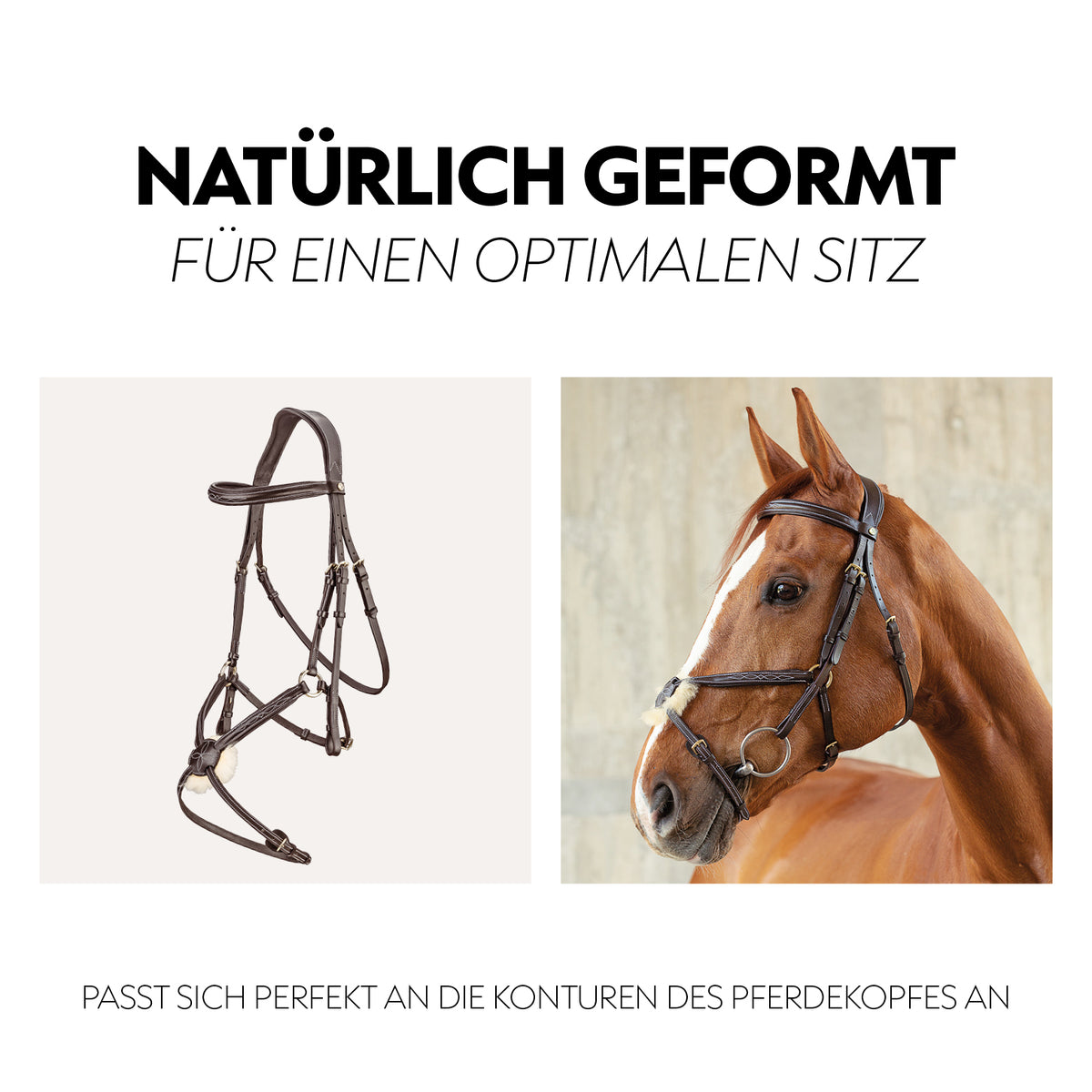 Mexican bridle "Acapulco"with reins