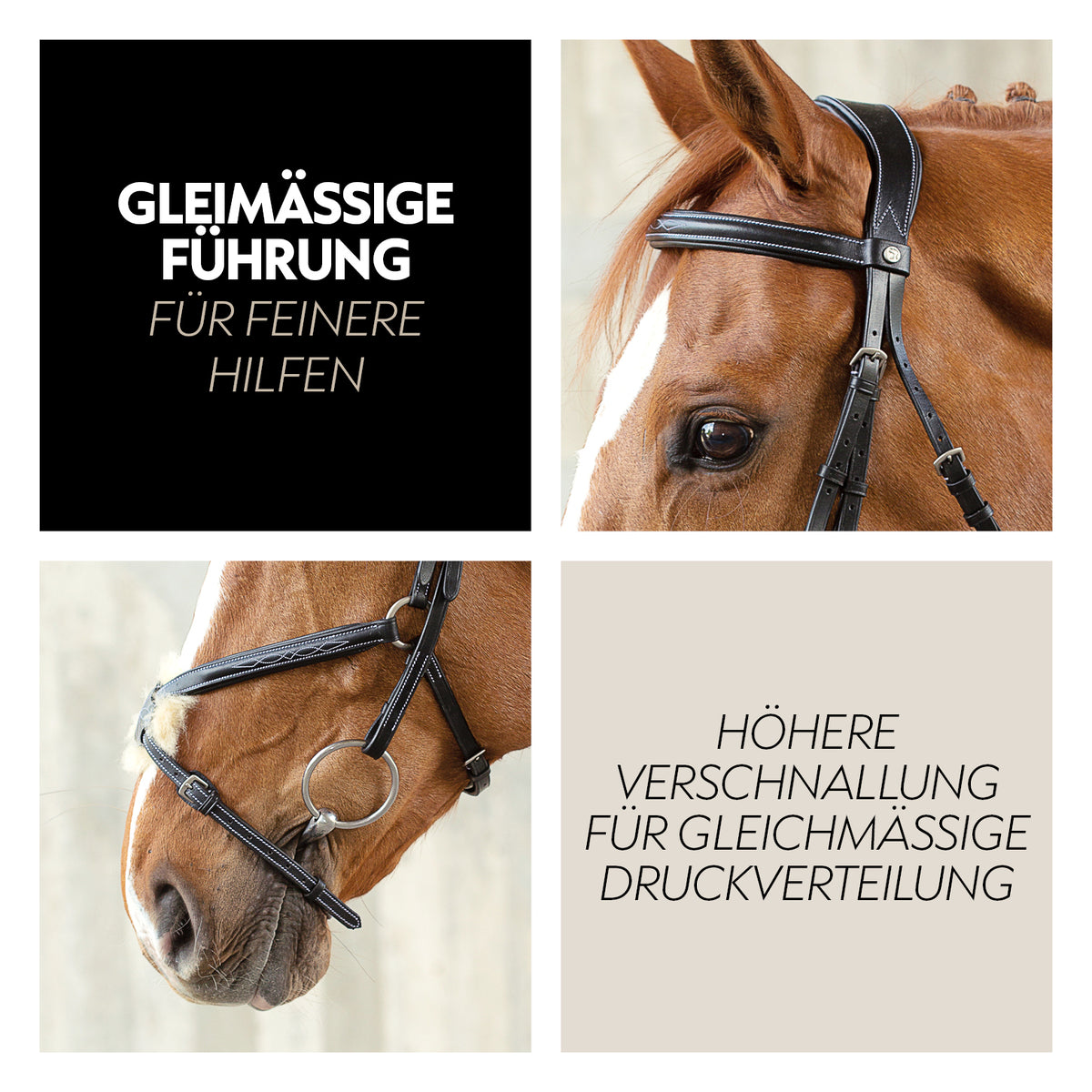 Mexican bridle "Acapulco"with reins