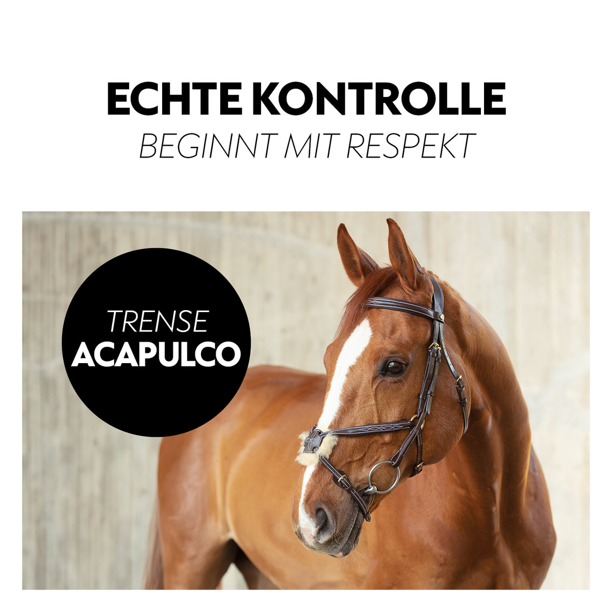 Mexican bridle "Acapulco"with reins