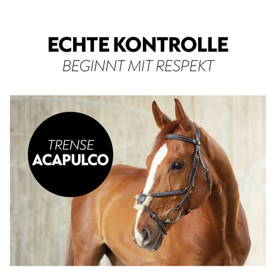 Mexican bridle "Acapulco"with reins