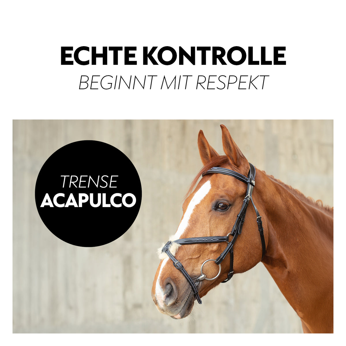 Mexican bridle "Acapulco"with reins