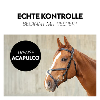 Mexican bridle "Acapulco"with reins