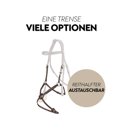 Mexican bridle "Acapulco"with reins
