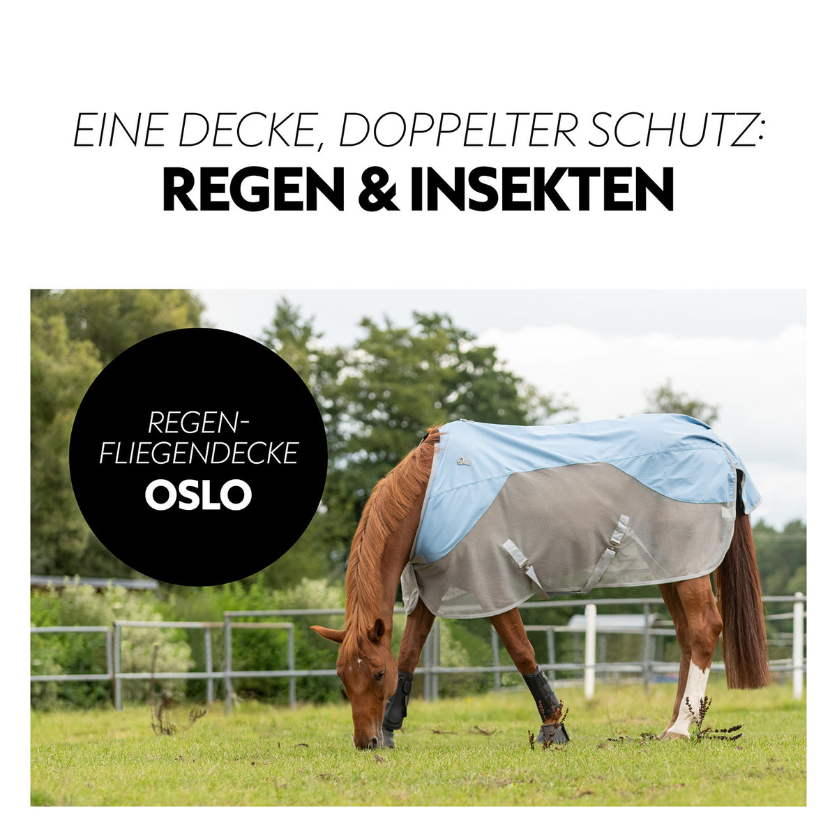 Regen-Fliegendecke 0g "Oslo" (1200D)