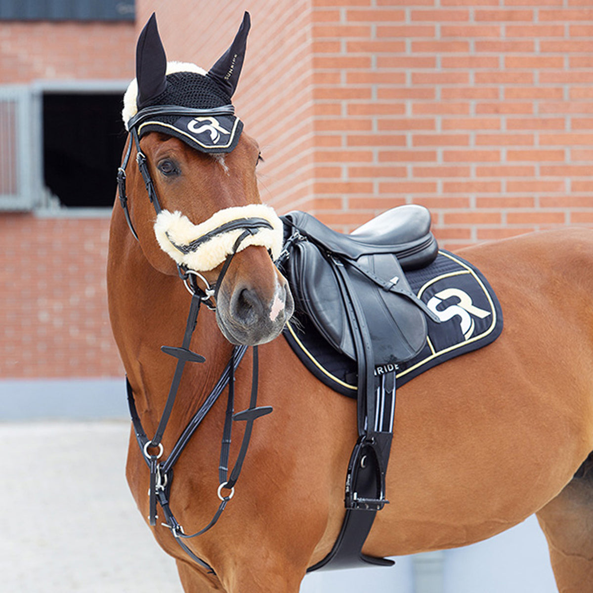 Saddle Pad Jumping "Exclusive Line"