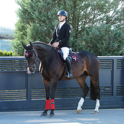 Draw Reins