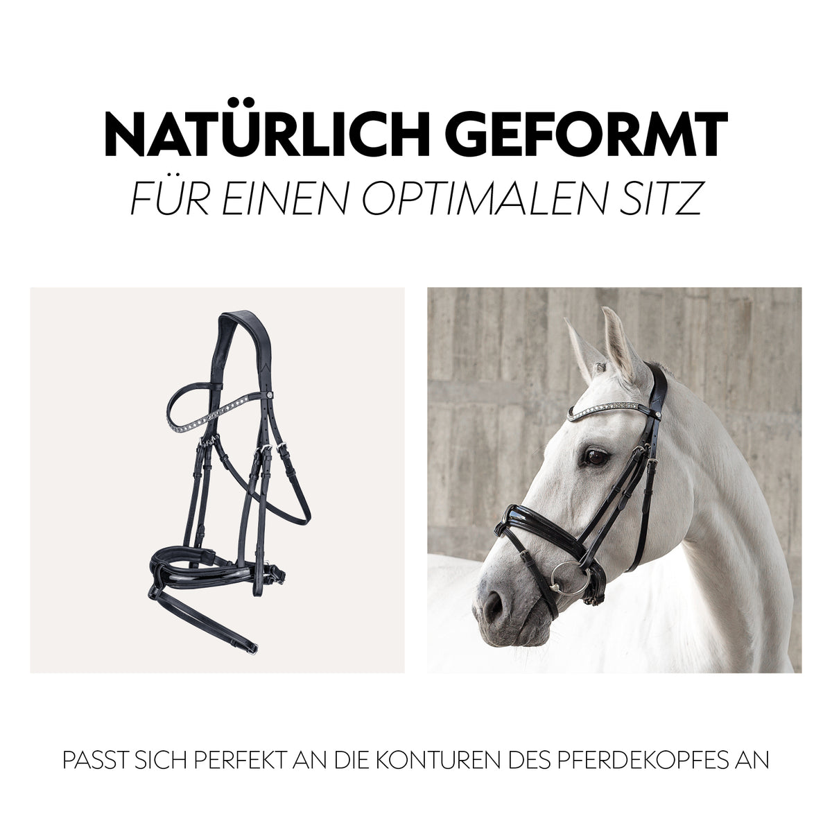Swedish bridle "Aspen" with reins