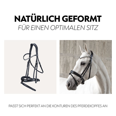 Swedish bridle "Aspen" with reins
